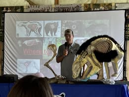 Learn about black bears!